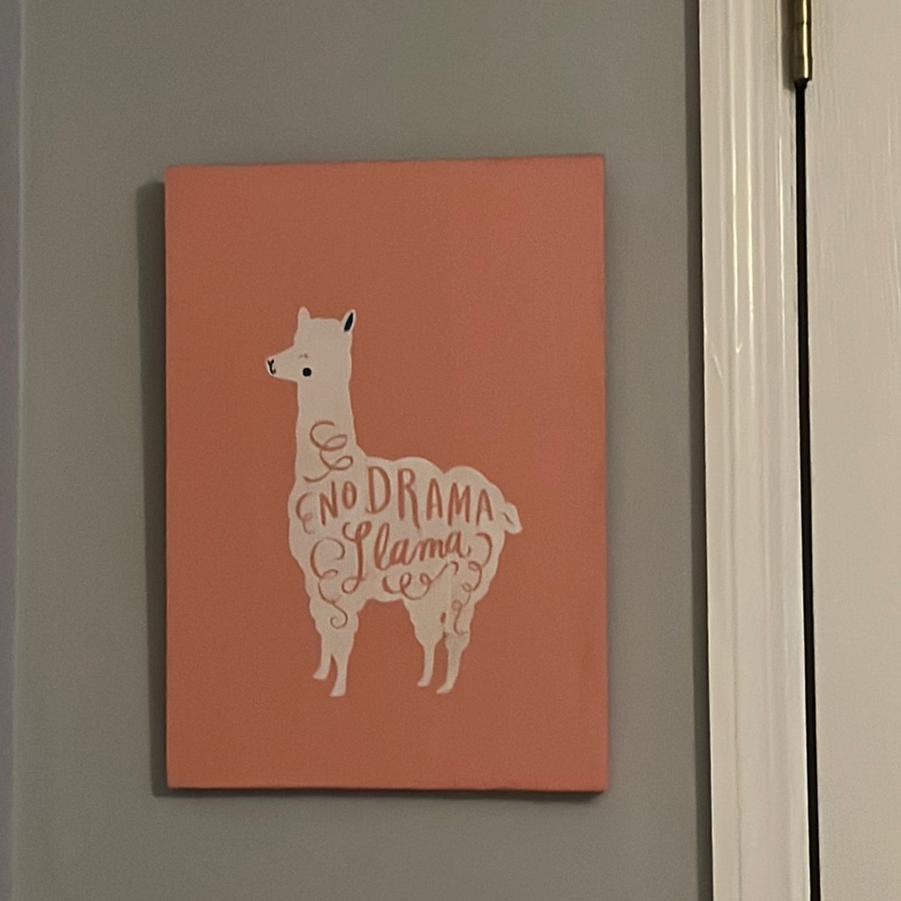“no drama llama”